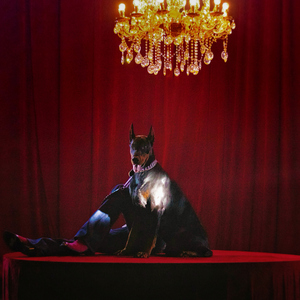 夏尔米3D视频在线
