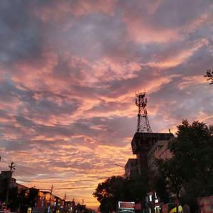 夏尔米3D视频在线
