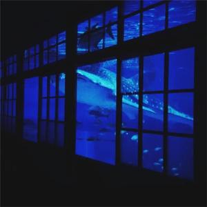 夏尔米3D视频在线
